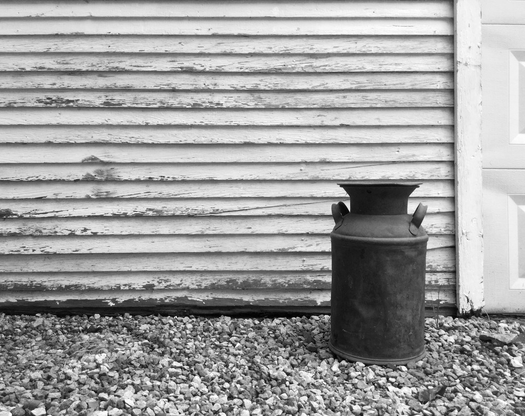 Portrait of a milk can on gravel by mcsiegle
