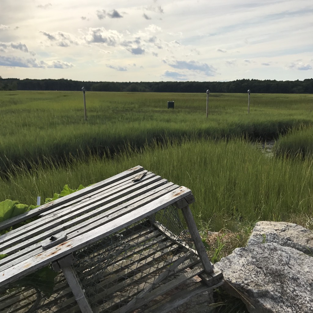 New Hampshire salt marsh by berelaxed