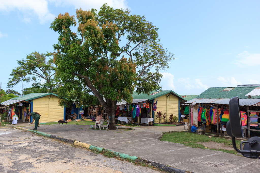 Jamaican Shopping Village by swchappell
