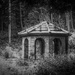 Folly in the woods by frequentframes