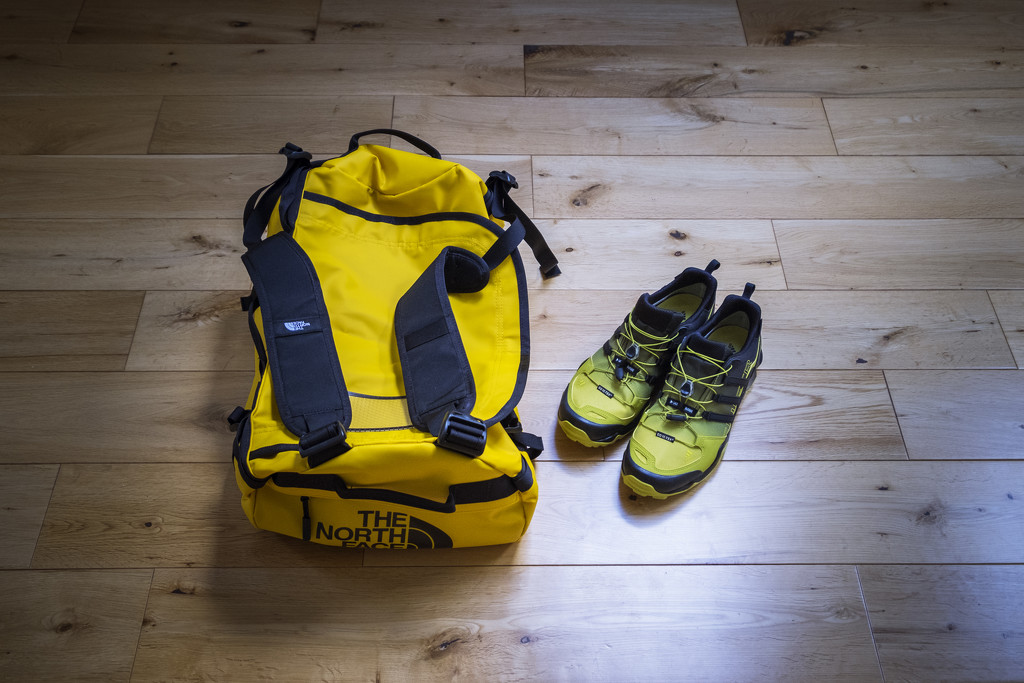 Day 184, Year 5 - I Like Yellow by stevecameras