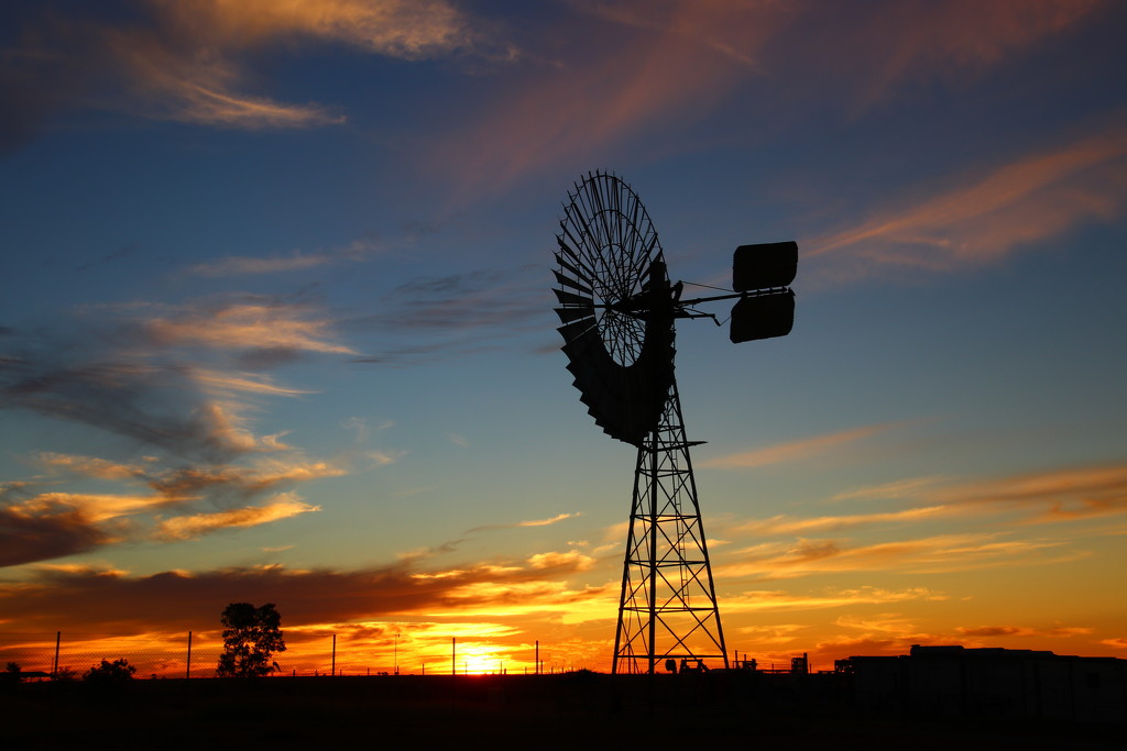Boulia Windmill at Sunset by terryliv