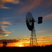 Boulia Windmill at Sunset by terryliv