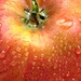 Fruity. by wendyfrost