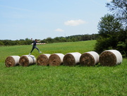 9th Aug 2017 - Jumping Across Hay Bales