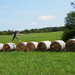 Jumping Across Hay Bales by julie