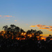 sunrise due east by koalagardens