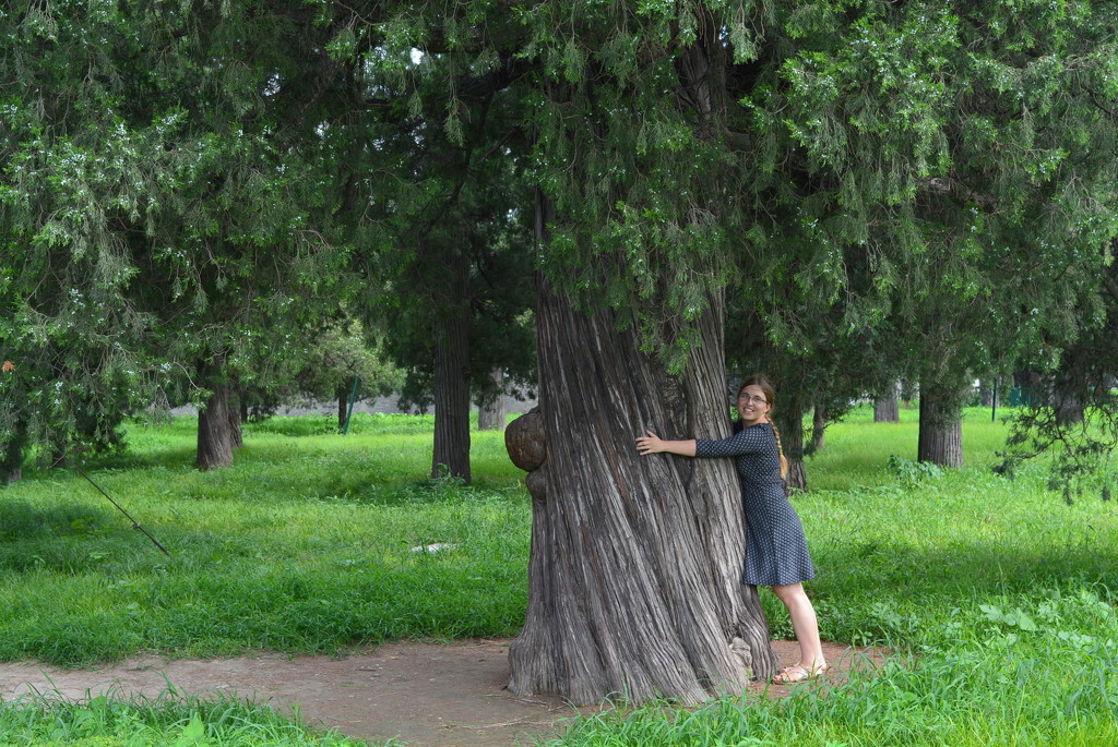 Tree-hug by fortong