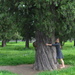 Tree-hug by fortong