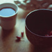 rosehip tea by kali66