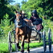 Equestrian Highway by kareenking