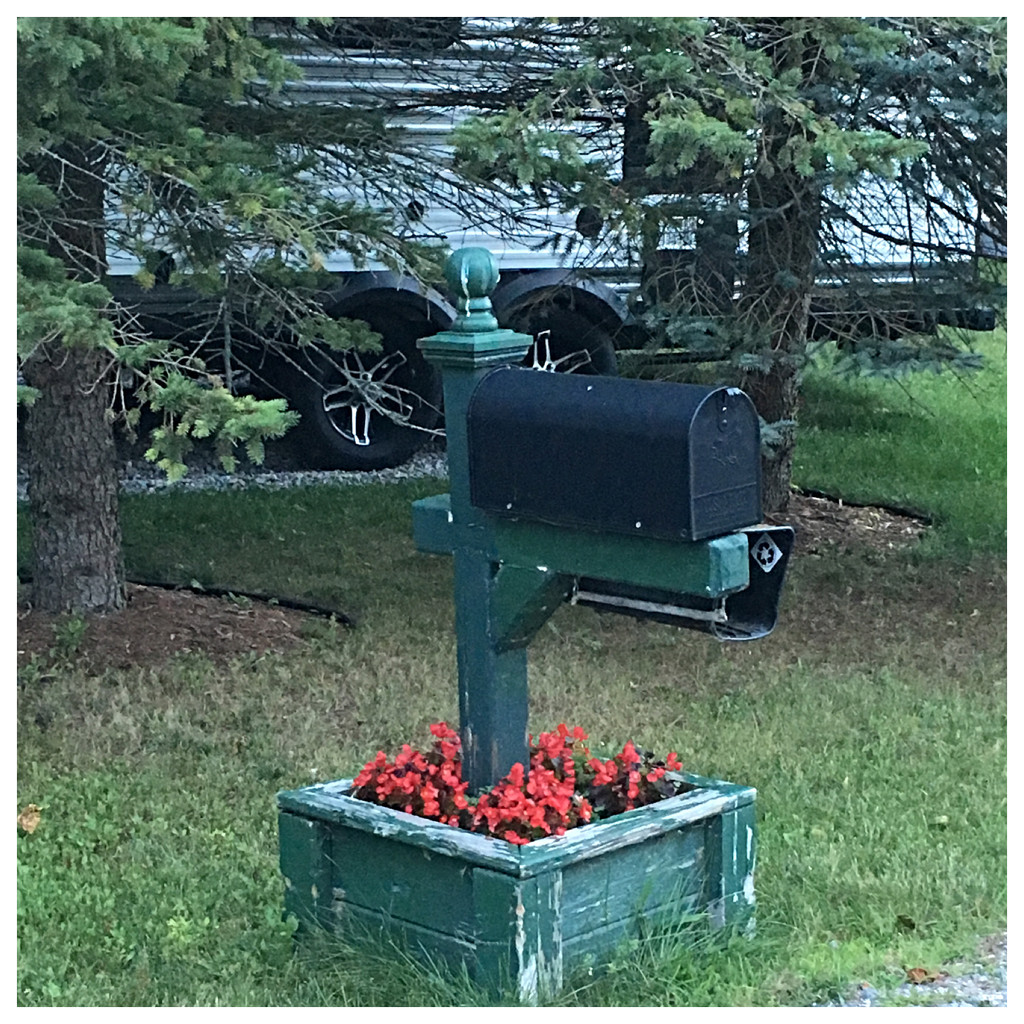 Mailbox Planter by wilkinscd