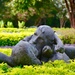 The Arboretum "Lovers" by louannwarren