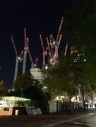 9th Aug 2017 - Cranes In The Night