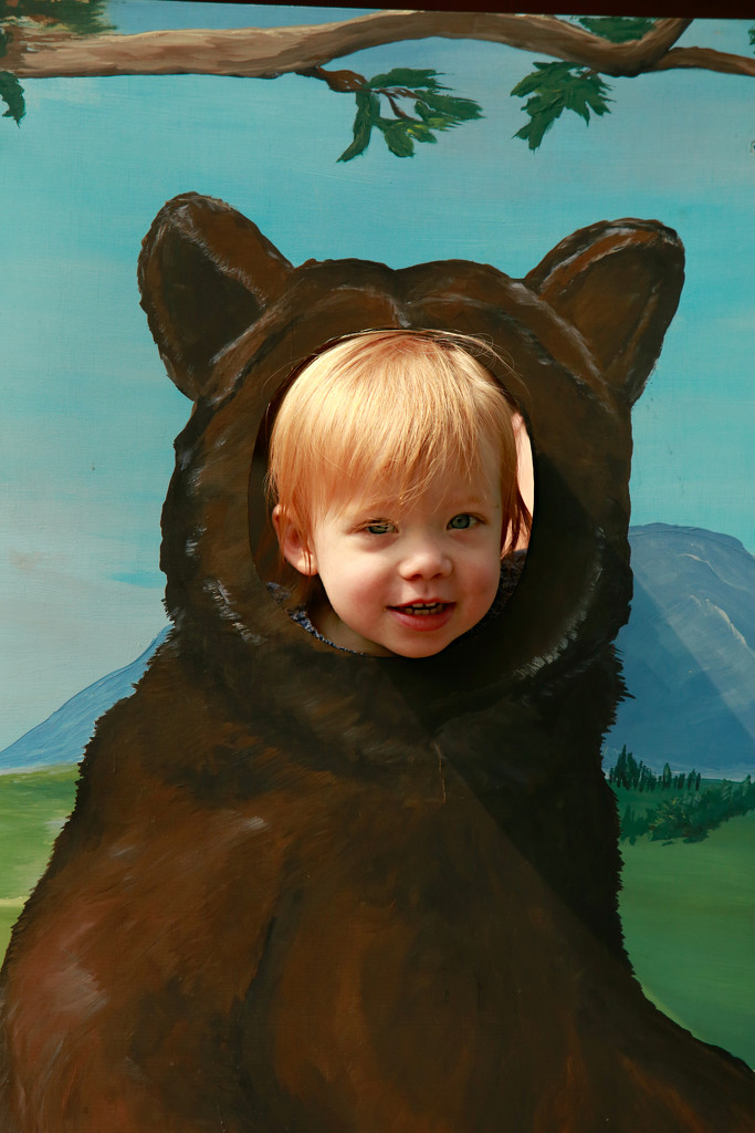 Little Bear by gq