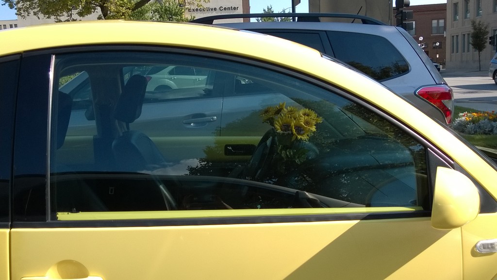 Yellow Flowers In A Yellow Car by scoobylou