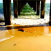 Under the pier at Dromana by marguerita