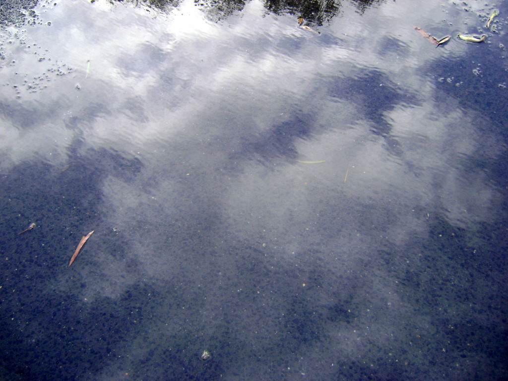 Cloud in a puddle by marguerita