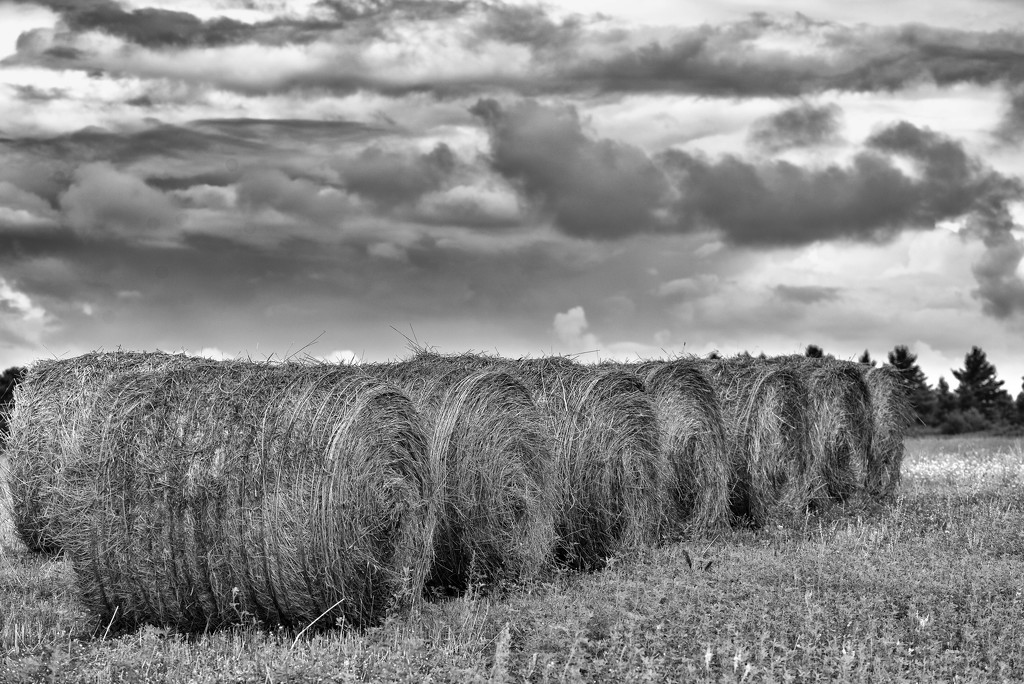 The Hay Bales of Kings Highway by taffy