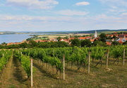 16th Jul 2017 - Wine region Pálava