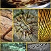 Collage of Textures by yorkshirekiwi