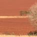 Landscape @ Coolabunya, Queensland by kerenmcsweeney