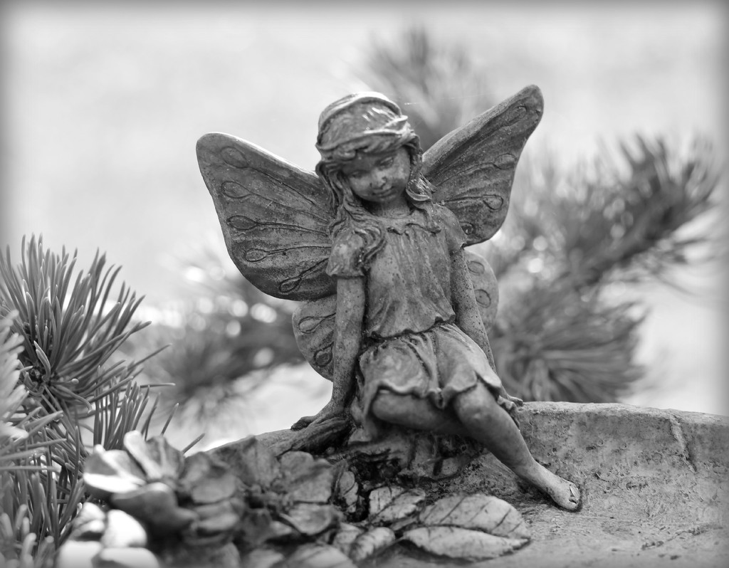 Garden Fairy.  by wendyfrost