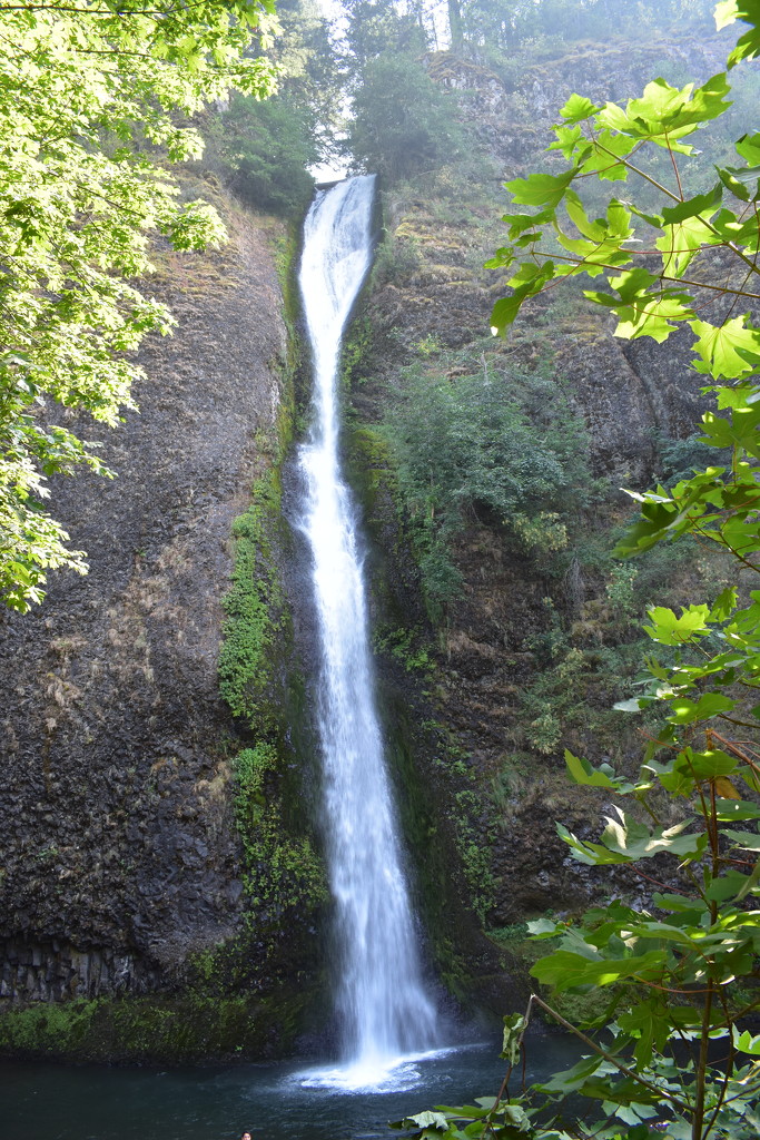 Horsetail Falls  by caitnessa