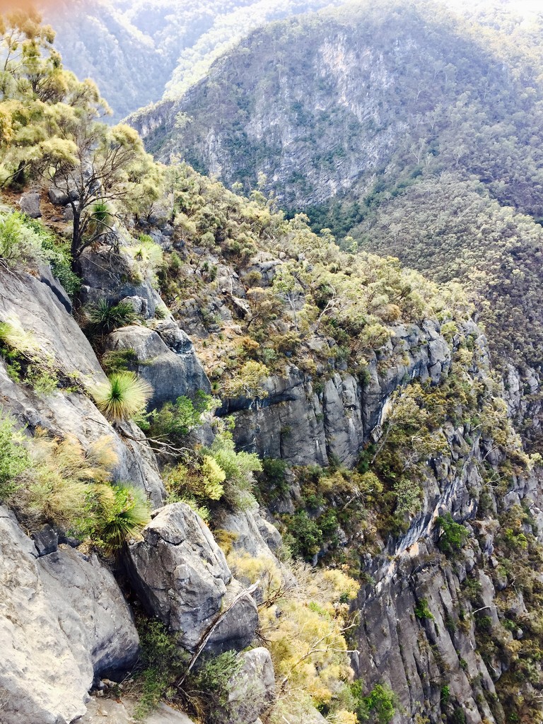 Bungonia Gorge by pusspup