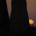 Sunset Peekaboo by evalieutionspics