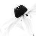 Black Eyed Susan by tosee