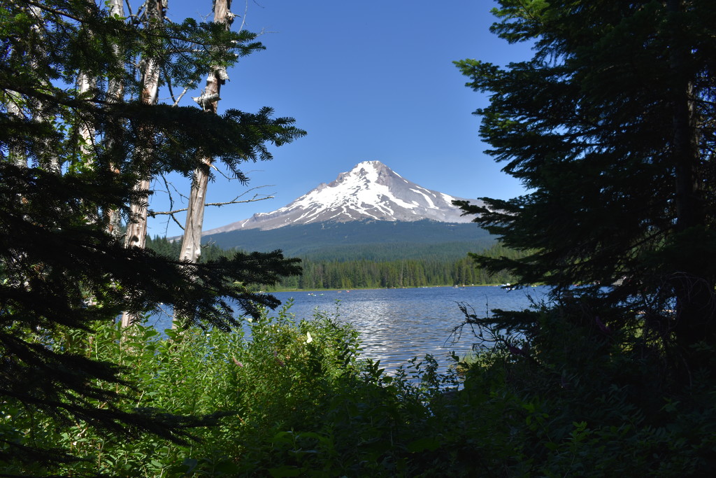Mt Hood Oregon by caitnessa
