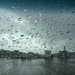 Rain, rain, go away! by jamibann