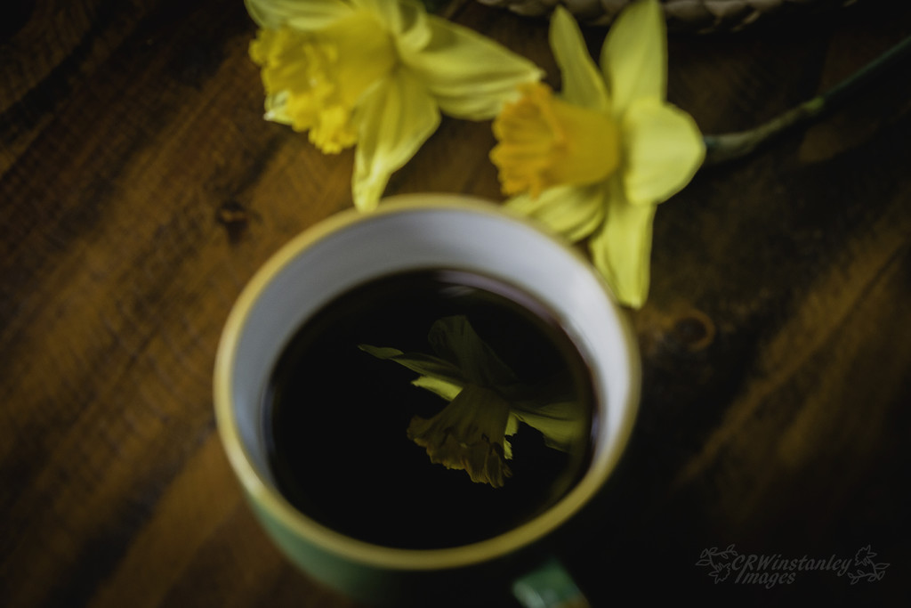 Day 227 Coffee and Daffodiles by kipper1951