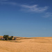 Palouse Wheat Fields by 365karly1