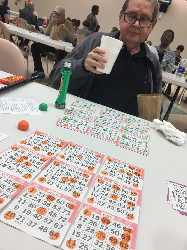 Bingo. Again. by margonaut