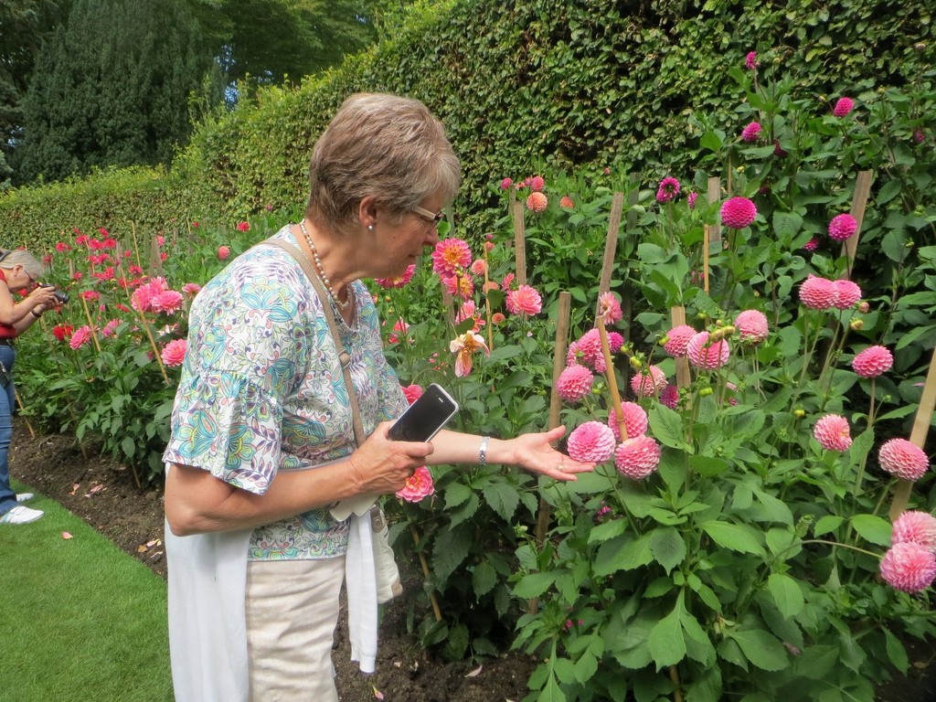 Jean admiring the Dahlias  by foxes37