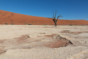 16th Aug 2017 - Welcome to Deadvlei