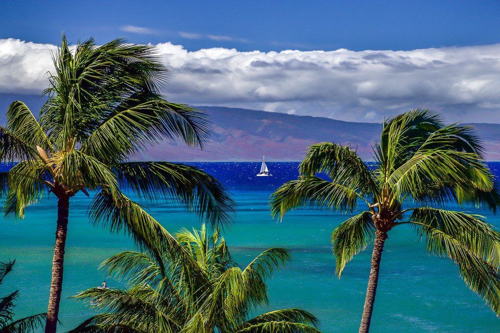 Sailing from Maui by teodw