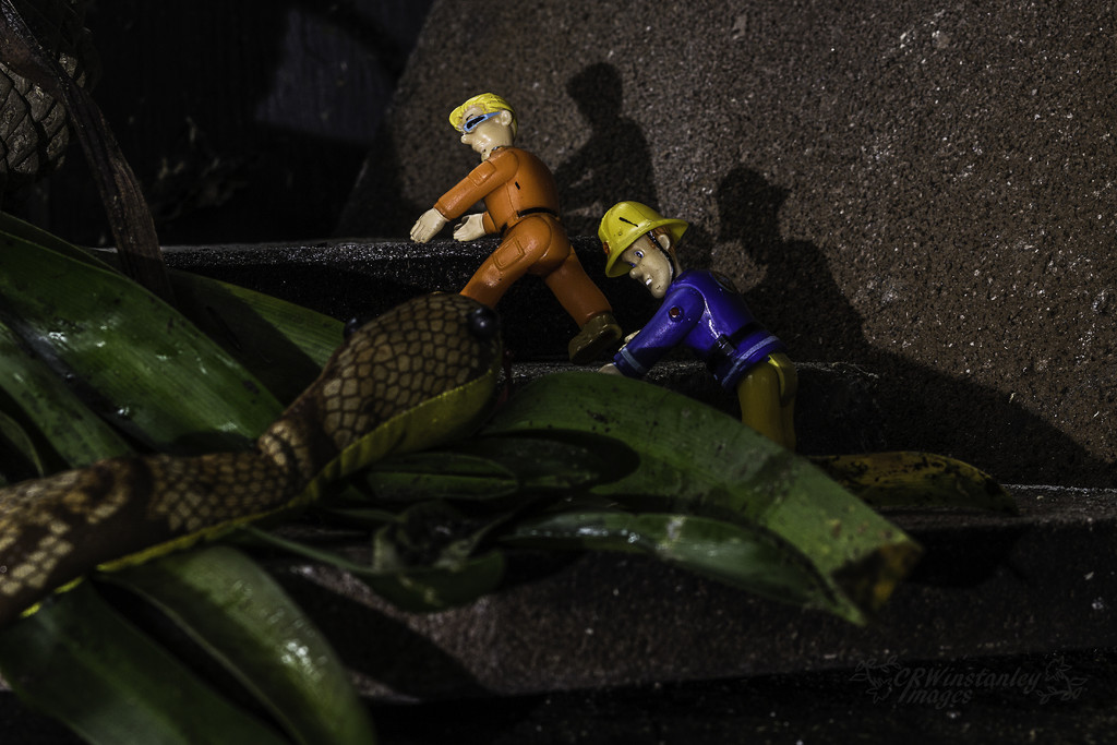 Day 228 Snake Attack by kipper1951