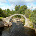 O Is For - Oh What A Lovely Old 'O' Shaped Bridge by bulldog