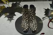 13th Aug 2017 - Leopard shoes
