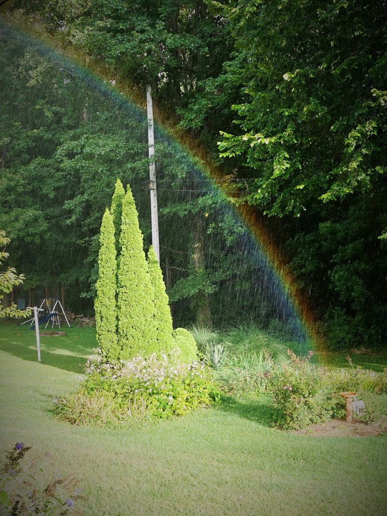 A rainbow in my yard by tunia