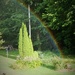 A rainbow in my yard by tunia