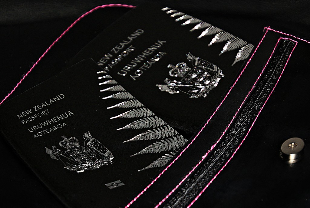 Pocket for passports by kiwinanna