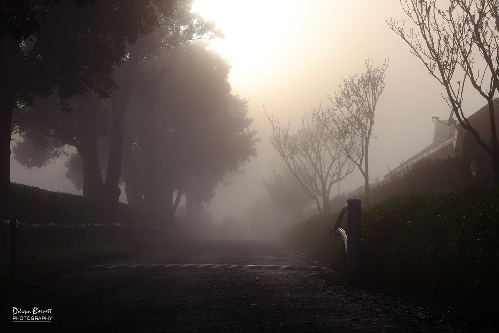 Foggy morning by dkbarnett