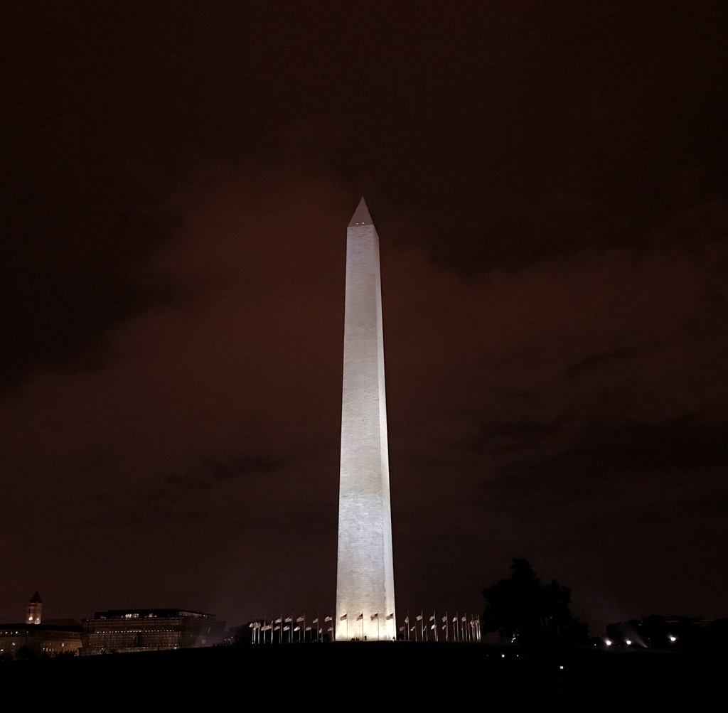 Day 352:  Washington Monument  by sheilalorson