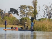 17th Aug 2017 - Makoros on the Okavango Delta