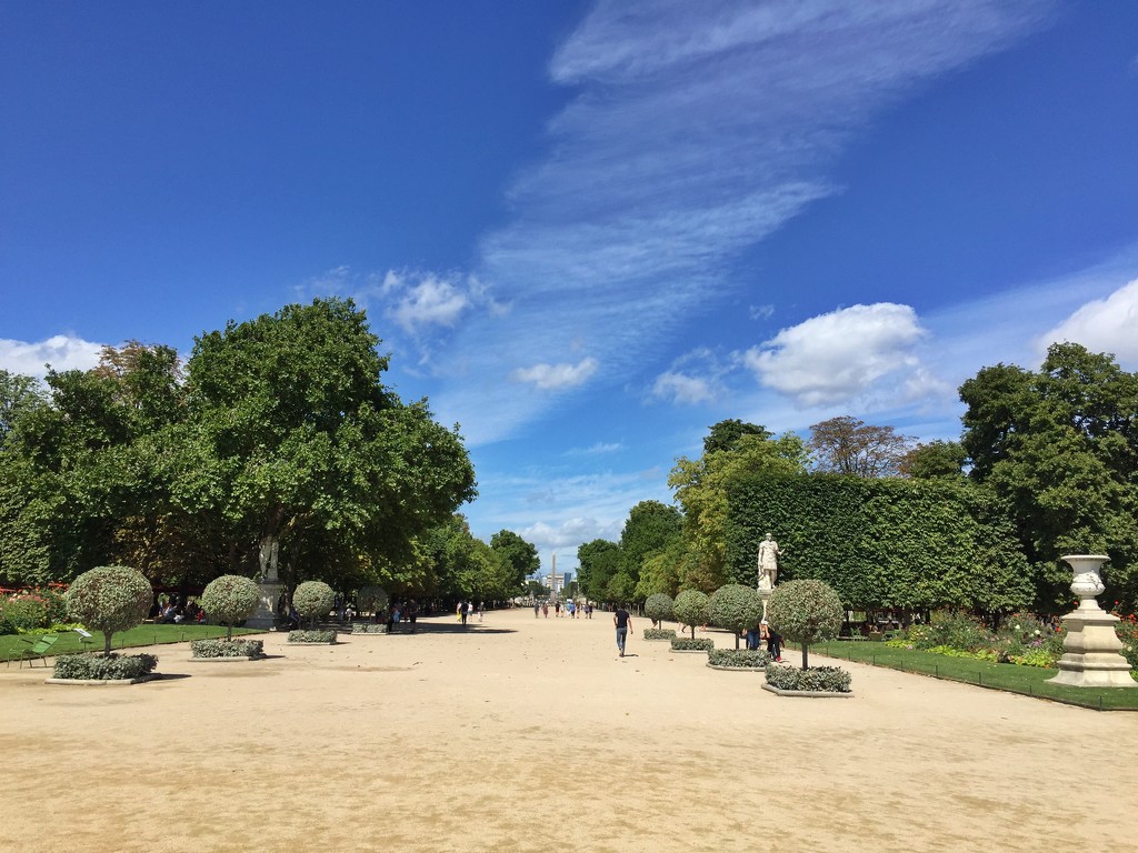 Tuileries gardens.  by cocobella