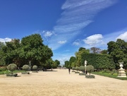 19th Aug 2017 - Tuileries gardens. 